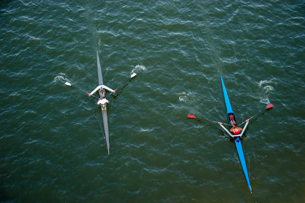 Scullers em uma Regata — Fotografia de Stock