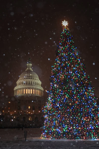 Capitol Kerstboom Sneeuw — Stockfoto