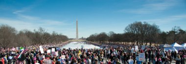 Washington 20 Ocak 2018: Göstericiler ve kadın hakları desteklemek üzere ralli Amerika Demokratlar 20 Ocak 2018 yılında Washington, Dc kadın Mart'ta, 2018 ara seçimlerde oy verme çağrısı  