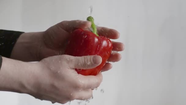 Washing pepper in water — Stock Video