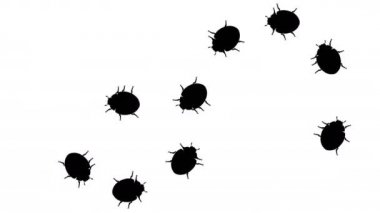 Böcekler, Cg animasyonlu silüetler beyaz, kesintisiz döngü sürüsü