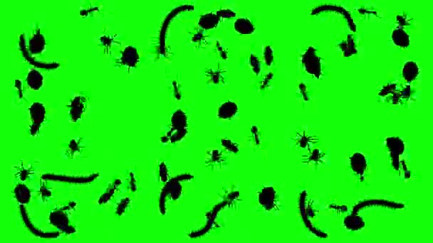 Swarm of arthropods, CG animated silhouettes on green screen, seamless loop — Stock Video