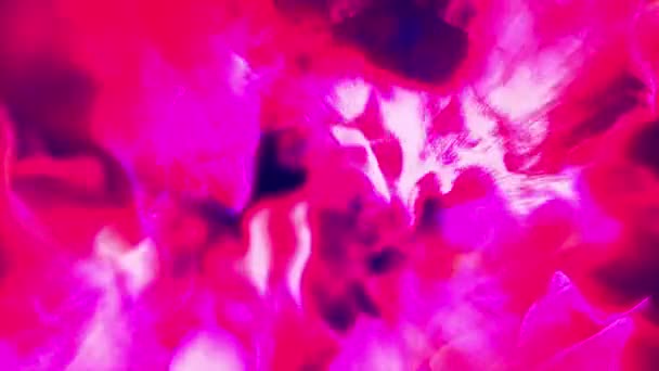 Анимация розовых частиц, 3D, петля — стоковое видео