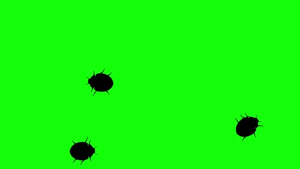 Trois scarabées sur écran vert, silhouettes animées 3D, boucle transparente 