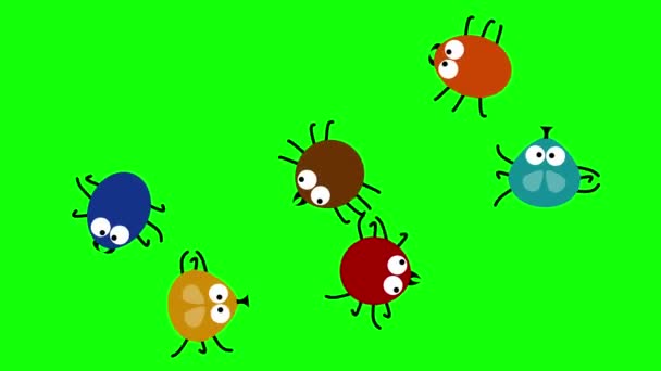 Grappige gekleurde insecten kruipen op groen scherm, 2d tekenfilm, looping. — Stockvideo