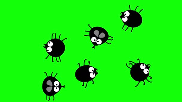 Insetti neri divertenti che strisciano sullo schermo verde, cartone animato 2d, senza soluzione di continuità — Video Stock