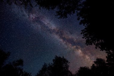 Yıldızlı gökyüzüne ağaçlar ile Samanyolu