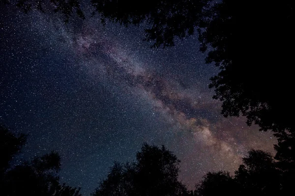 Yıldızlı gökyüzüne ağaçlar ile Samanyolu
