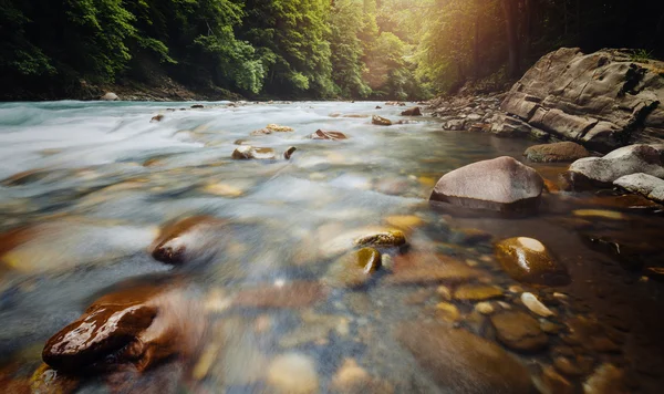 Fluxo dos rios florestais — Fotografia de Stock