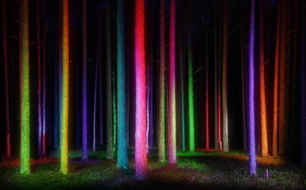 Colorfully lit trees in forest — Stock Photo, Image