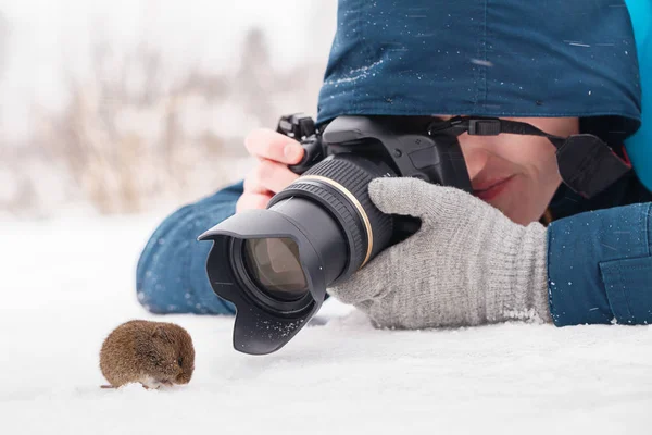 Taking a macro photo of a mouse in habitat — Stock Photo, Image