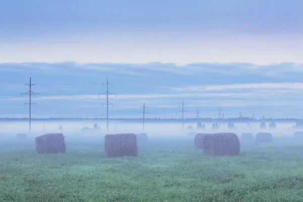 Foggy champ avec des meules de foin — Photo