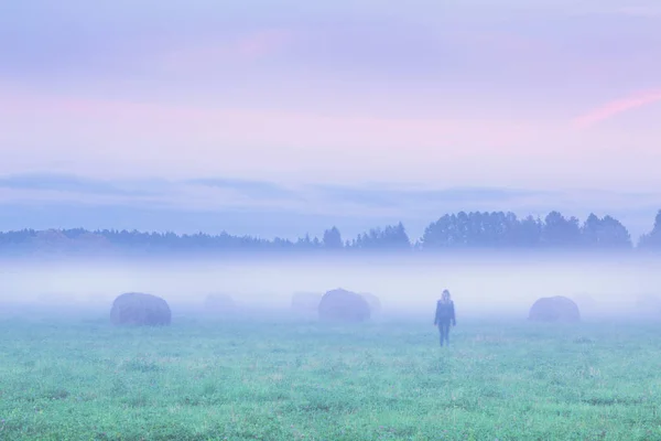 孤独的背影在薄雾蒙蒙的田野 — 图库照片