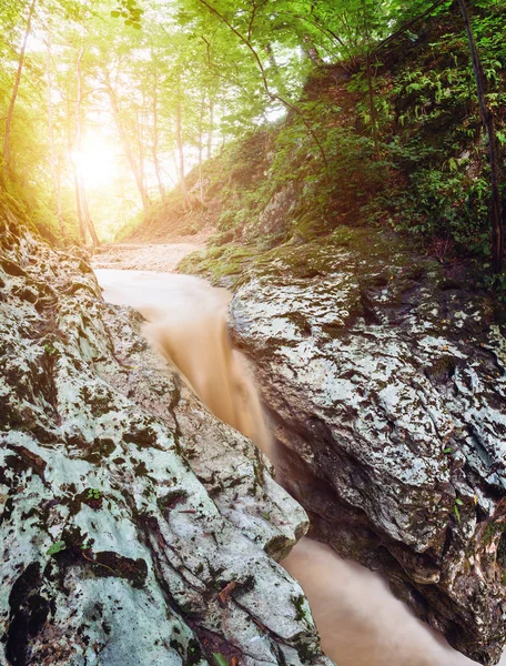 Fluxo fluindo através de rochas na floresta — Fotografia de Stock
