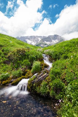 Mountain brook şelaleler ile