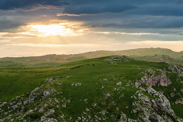 Beautiful mountain valley — Stock Photo, Image