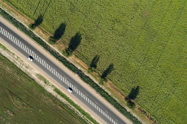 Luchtfoto van een snelweg langs groene velden — Stockfoto
