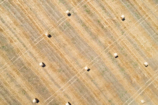 Aerial view of harvested field with haystacks — Stock Photo, Image