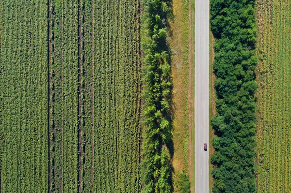 Widok z lotu ptaka autostrady przechodzącej przez zielone pola — Zdjęcie stockowe