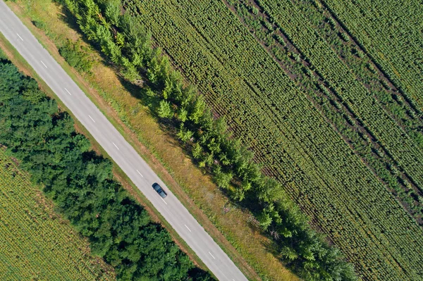 Widok z lotu ptaka autostrady przechodzącej przez zielone pola — Zdjęcie stockowe