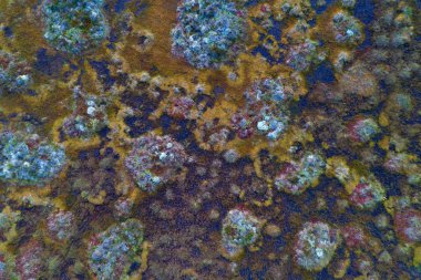 Swampland havadan görünümü