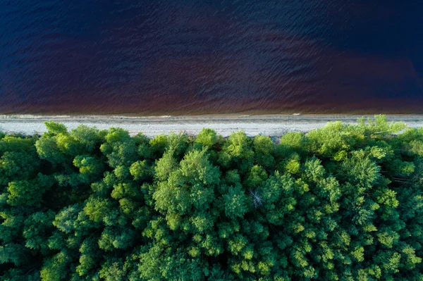森と空の湖の岸の空撮 — ストック写真