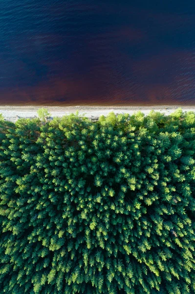 Vue aérienne du rivage vide du lac avec forêt — Photo