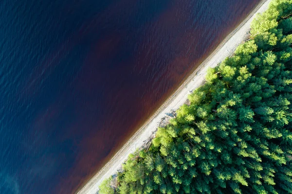 森と空の湖の岸の空撮 — ストック写真