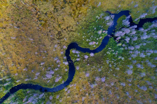 カービィー森川の航空写真 — ストック写真