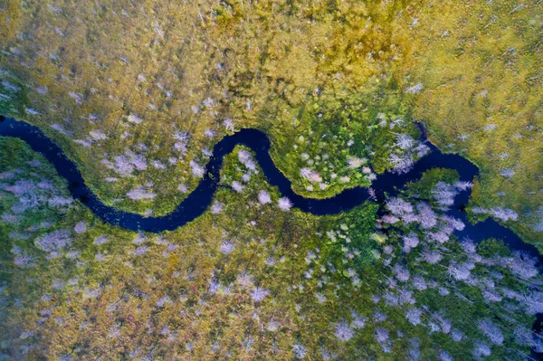 매력적인 숲 강의 항공 보기 — 스톡 사진