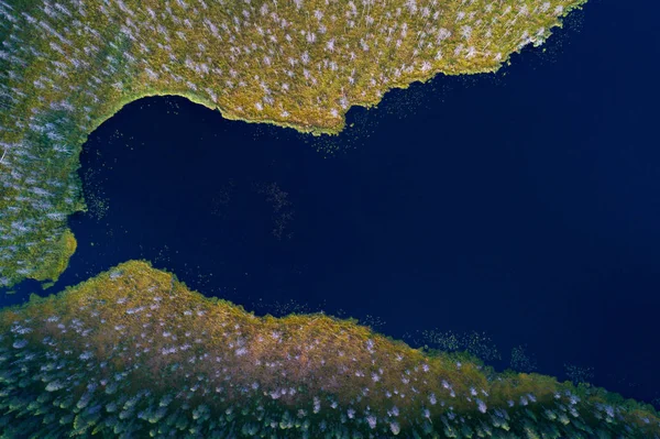 森の湖の空中風景 — ストック写真