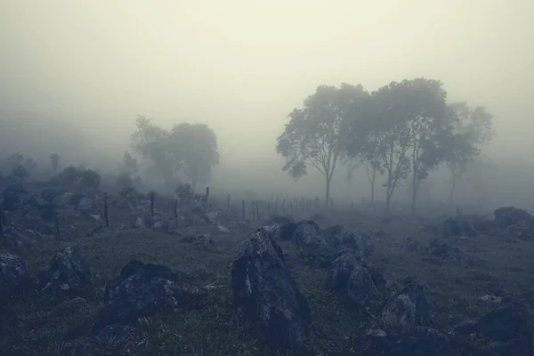 Felsiger Hügel im milchigen Nebel — Stockfoto