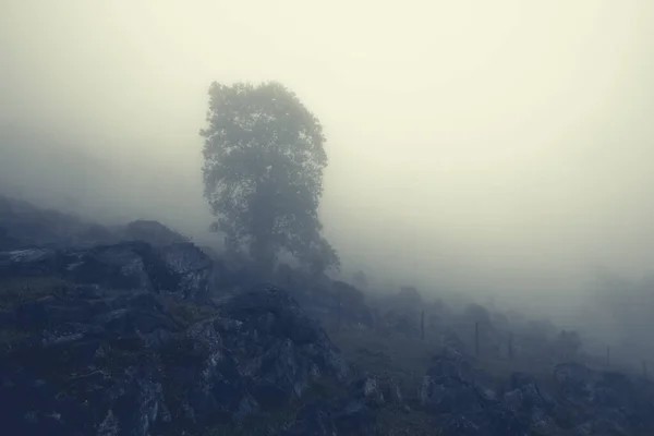 黄昏时分，云雾弥漫的山岗 — 图库照片