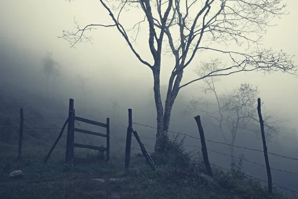 Misty mountain slopes behind barbed wire fence and opened gate — Stock Photo, Image