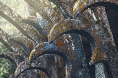 Sürrealist Bahçe Las Pozas Xilitla, Meksika