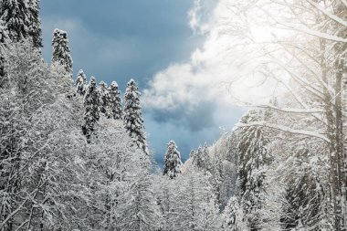 Bulutlu gökyüzünün üzerindeki kalın karla kaplı kış manzarası