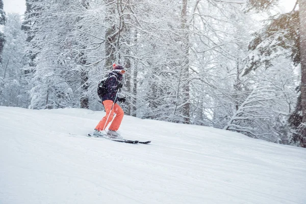 年轻的女滑雪者在雪地下滑向斜坡 — 图库照片