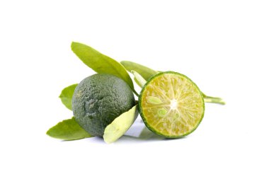 Yeşil calamondin ve beyaz arka plan üzerinde izole limon yerine kullanılan yaprak grubu