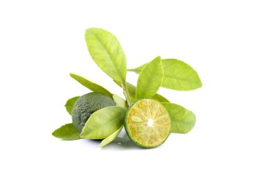 Yeşil calamondin ve beyaz arka plan üzerinde izole limon yerine kullanılan yaprak grubu