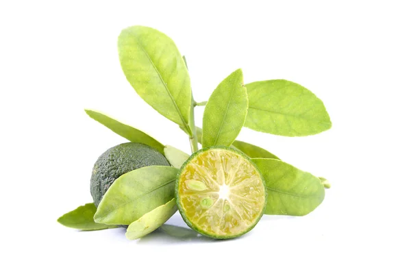 Grupo de calamondina verde y hoja utilizada en lugar de limón aislado sobre fondo blanco —  Fotos de Stock