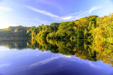 sonbahar yeşillik yansıması