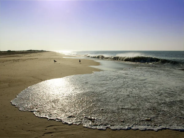 Ocean Beach at Sunrise — Stock Photo, Image