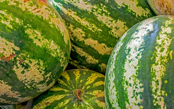 Ripe big water-melons with a green striped skin.