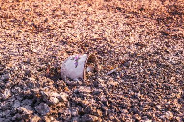 bir fincan kahve sunset Bulvarında kuma gömülü