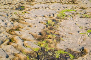 Sahilde su emekli sonra