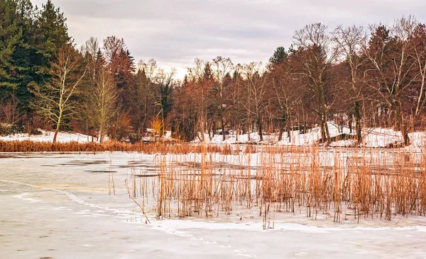 Cena Inverno Com Lago Congelado — Fotografia de Stock