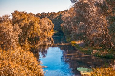 Sonbahar gölde kızılötesi