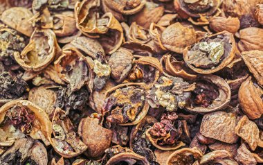 Kırık fındık küf, görünümü Kapat çürük