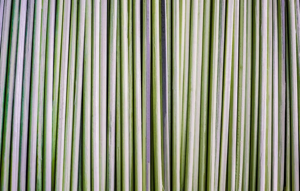 Bamboo sticks background. Green shadow. Vertically arranged. Suitable for use in projects on imagination, creativity and design
