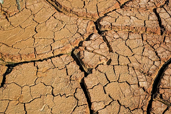 Detailní Pohled Zemi Prasklé Kvůli Suchu — Stock fotografie